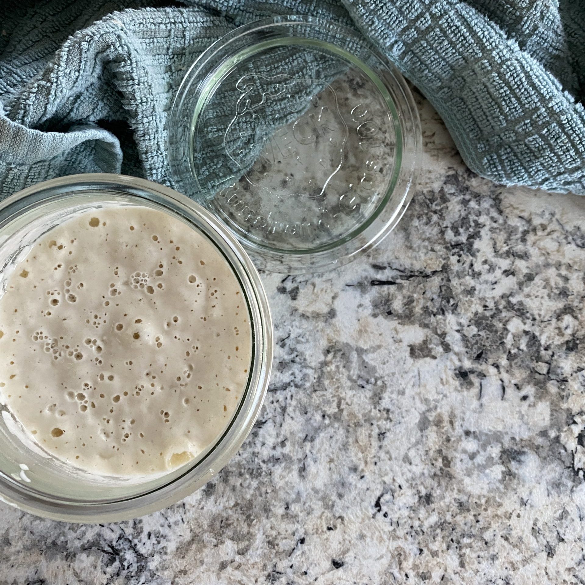 sourdough starter in tulip weck jar