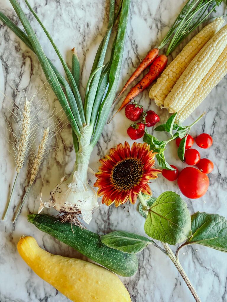 Lessons I Learned in my Garden This Year