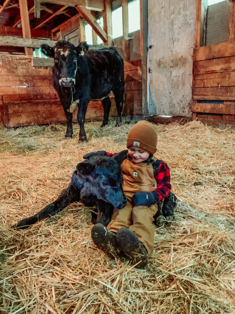 Fall Farm Essentials | Kid Edition