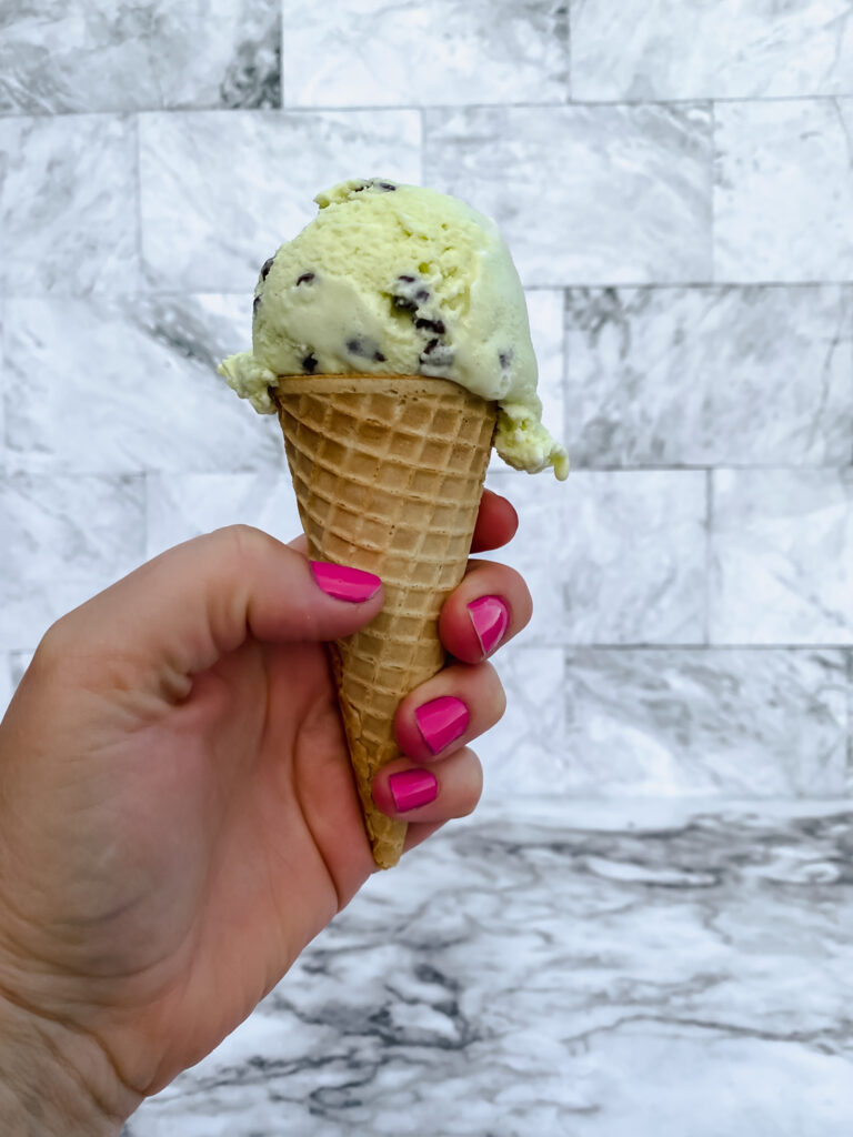 Mint Chip Ice Cream with Fresh Mint