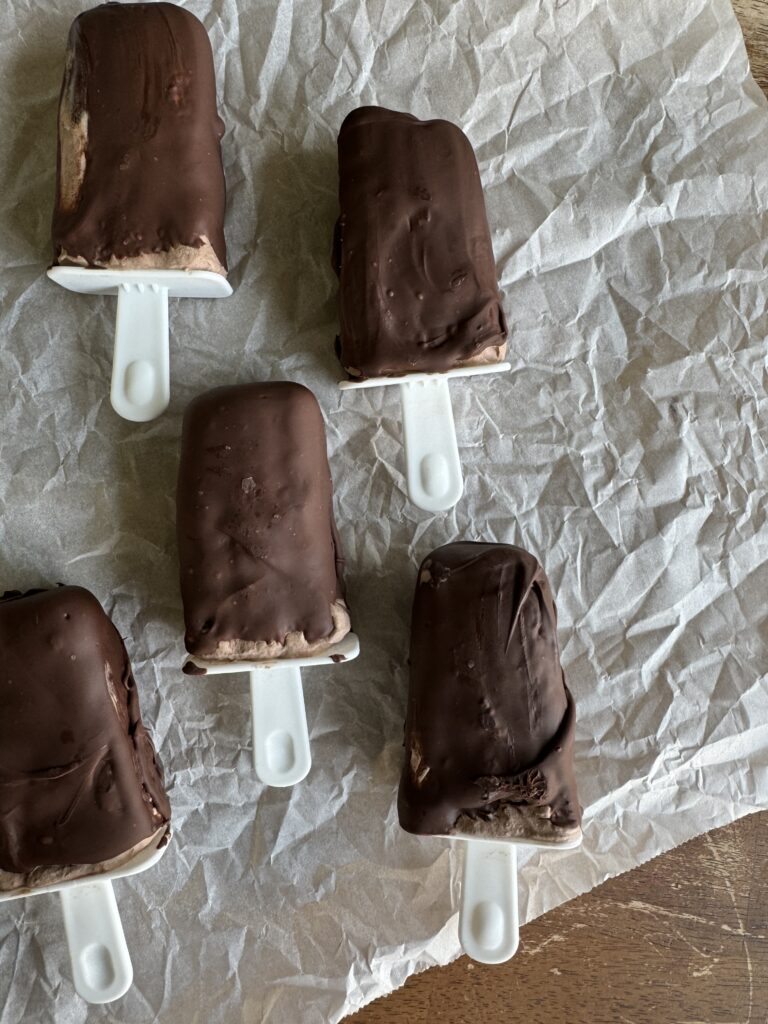 Homemade Frozen Chocolate Yogurt Bars