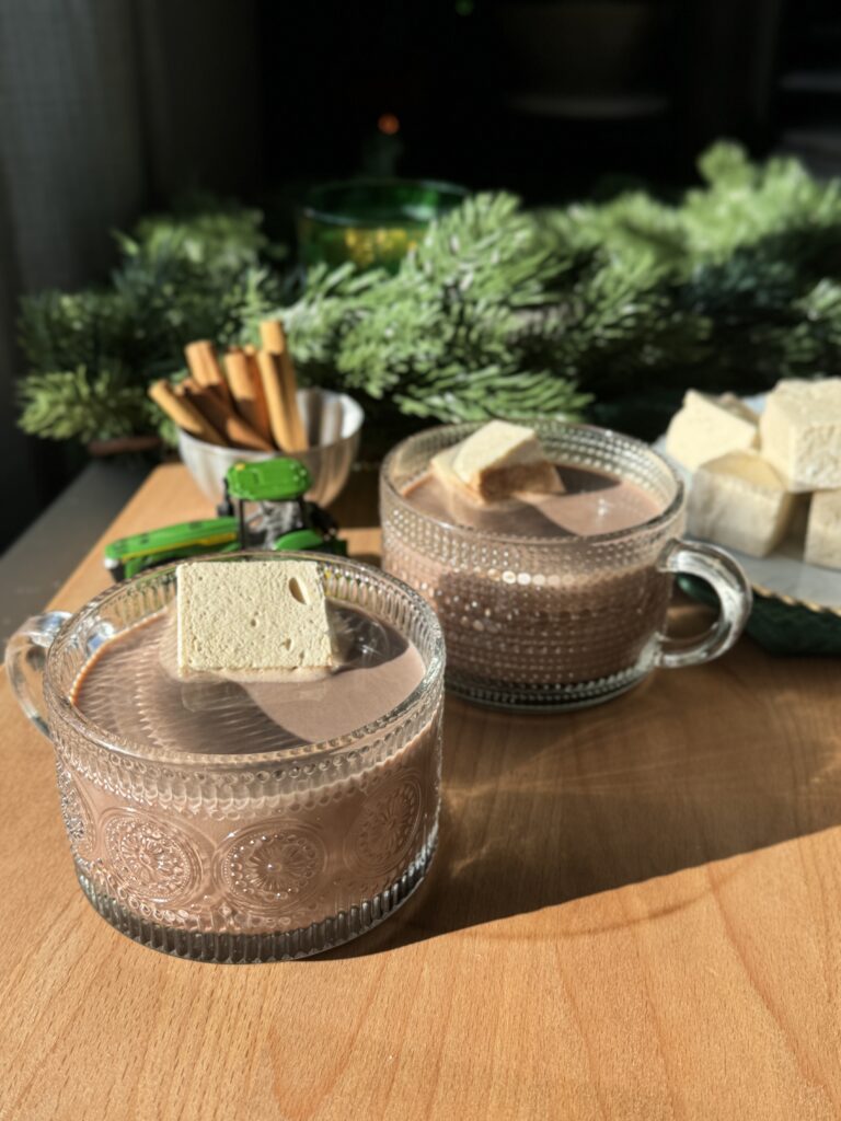 Easy Bone Broth Hot Chocolate