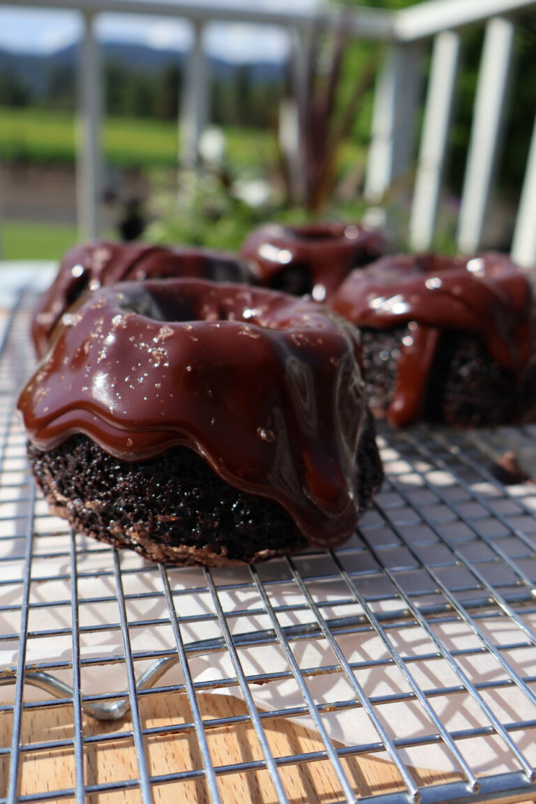 Mini Chocolate Bundt Cakes