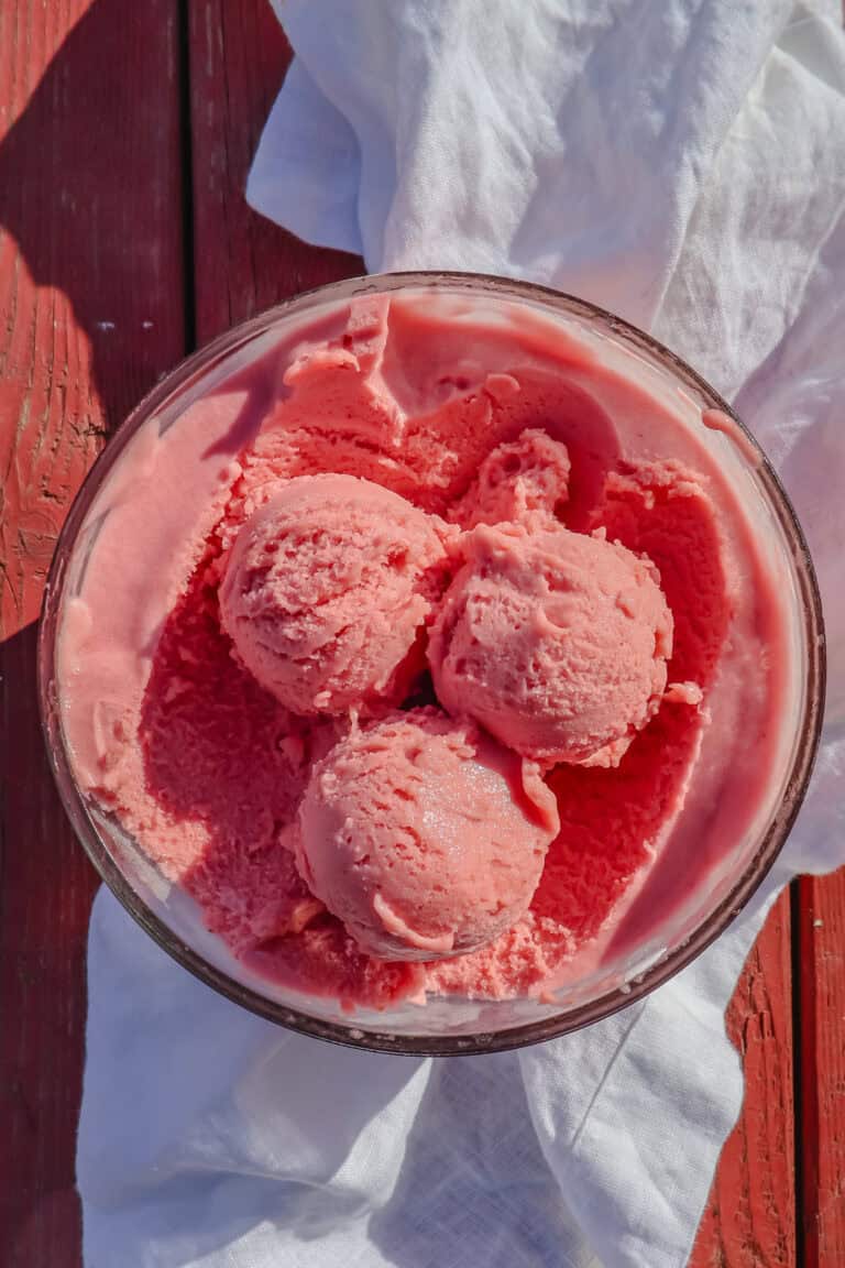 Raspberry Rhubarb Sorbet